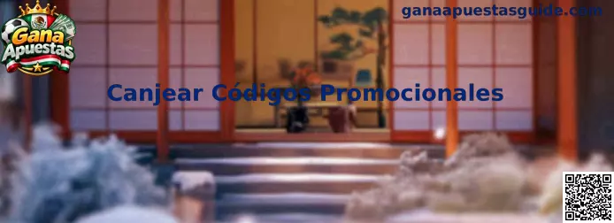 Guía visual para canjear códigos promocionales en una plataforma de apuestas
