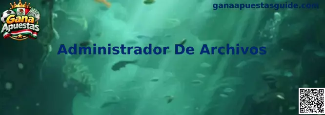 Administrador De Archivos