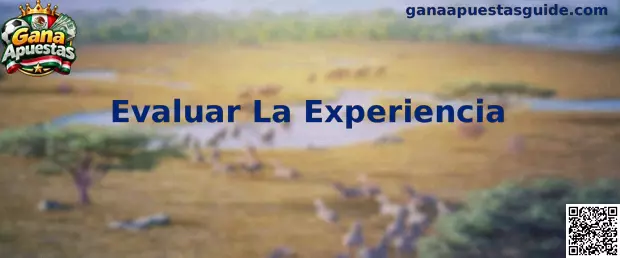 Evaluar La Experiencia