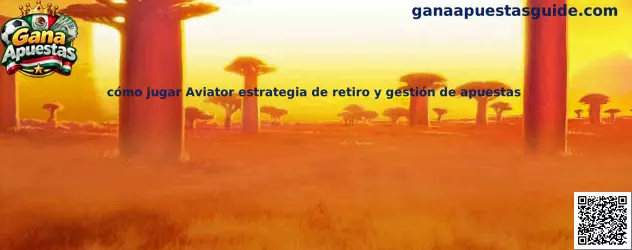 Guía informativa de Aviator sobre el funcionamiento de las rondas, los multiplicadores y la gestión responsable de apuestas